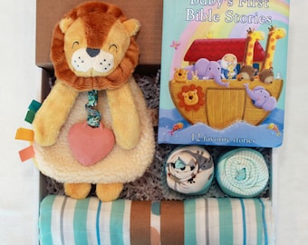 Baby's First Bible Stories Gift Box / Baby Shower or Baptism Gift / New Baby Book Box / Baby Boy Baby Girl / Noah's Ark Animals