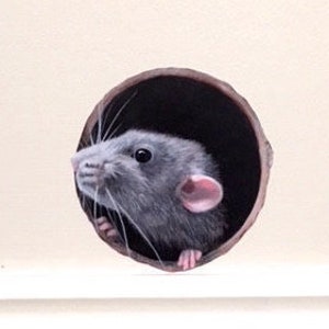 Rat wall sticker taken from my original painting and individually hand cut to shape. Removable and easy to reposition matt vinyl.