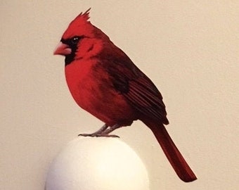 Cardinal wall sticker taken from my original painting and individually hand cut to shape. Removable and easy to reposition matt vinyl.