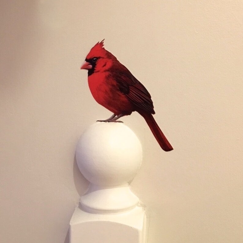 Cardinal Wall Sticker removable bird mural wall decal Etsy