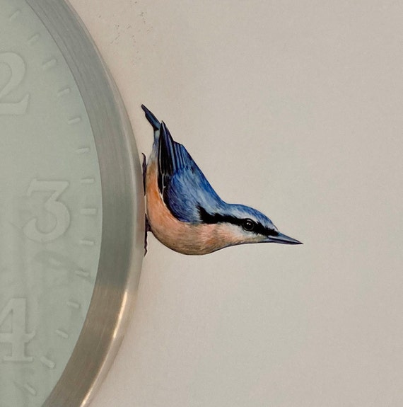 Nuthatch Wall Sticker Decal: Removable Re-positionable Hand Cut Vinyl Art