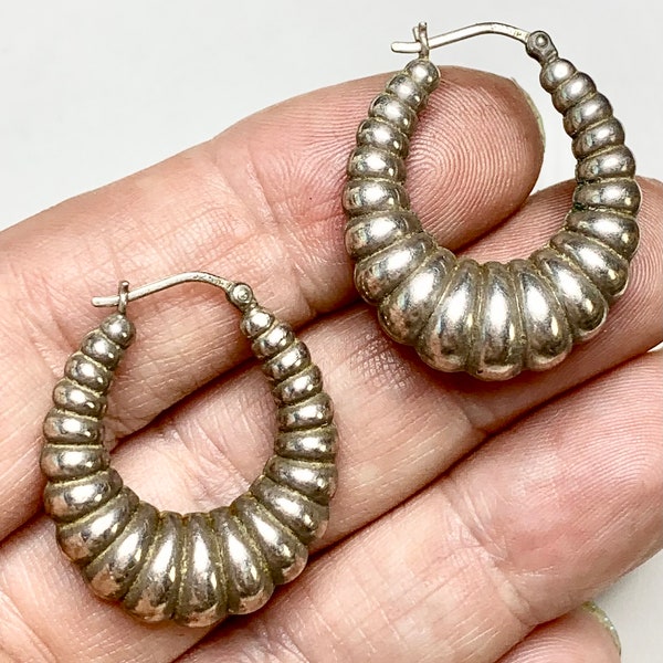 Shrimp Earrings Etsy