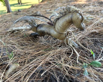 Horse Rattle, Ceremonial Rattle, Shamanic Rattle, Ceremony tool, Cleansing rattle, Spirit of the Horse
