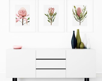 Set of 3 Floral Prints, Protea Print, Banksia Wall Art, Banksia Art, Banksia Print, Waratah, Australian Natives Blush Pink Pastel Artwork