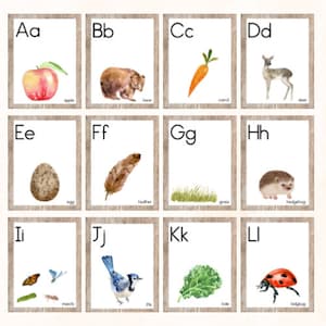 Cartazes da natureza do alfabeto - Sinais fonéticos A-Z - Letras rústicas da floresta - Cartazes modernos para sala de aula em aquarela ao ar livre - Sinais para impressão