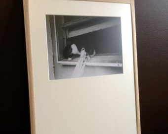 Meow.  Film Print - hand framed 11x14 inches