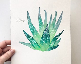 Original akvarellmålning av suckulentträd av zebrahaworthia, 8x10
