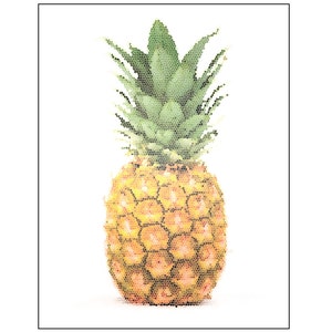 Pineapple card set set of 20 cards & envelopes image 1