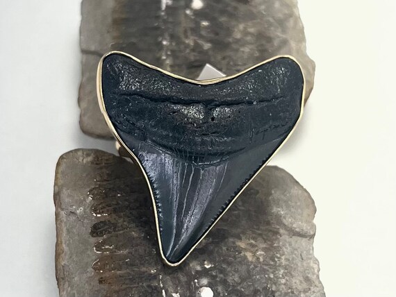 Fossil Shark Tooth Ring | Adjustable Size - image 4