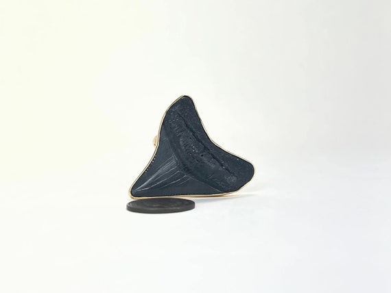 Fossil Shark Tooth Ring | Adjustable Size - image 10