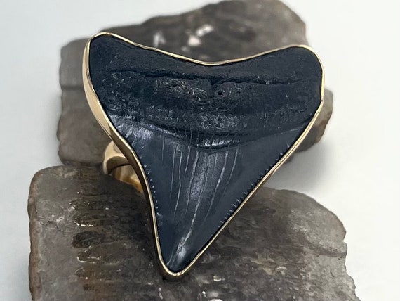Fossil Shark Tooth Ring | Adjustable Size - image 3