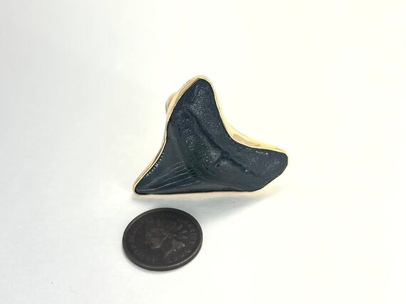 Fossil Shark Tooth Ring | Adjustable Size - image 9