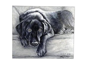 Dogs by Rien Poortvliet, Illustrations, Braaf, Dutch - Etsy