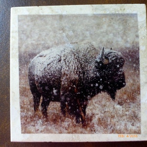 Buffalo coasters, Marble coasters, coasters with Buffalo image 3