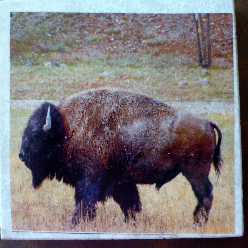 Buffalo coasters, Marble coasters, coasters with Buffalo image 4