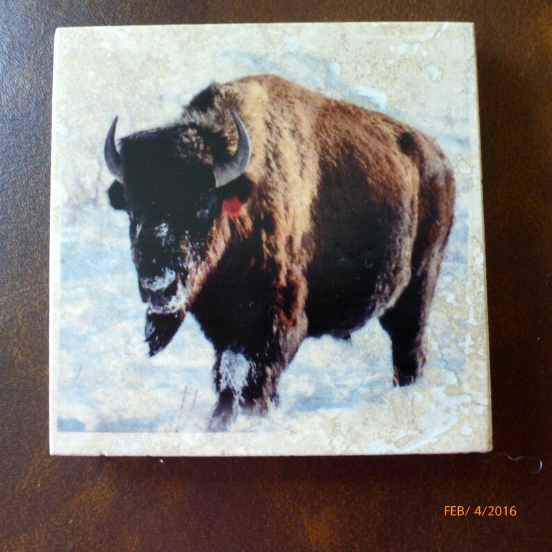 Buffalo coasters, Marble coasters, coasters with Buffalo image 2