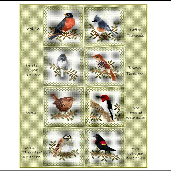 Plus d'oiseaux de l'air - Ensemble complet - 8 grilles de point de croix compté - PDF Téléchargement instantané