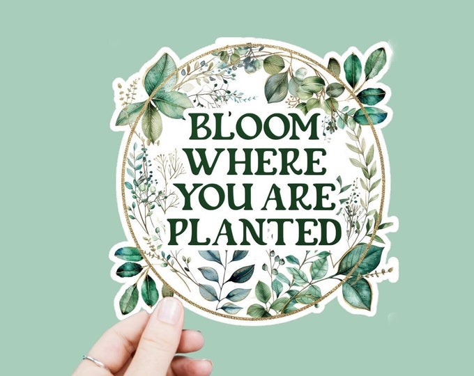Bloom Where You Are Planted Decal, Satin Finish Sticker, Boho Sticker Laptop Sticker, Window Decal, Water Bottle Decal, 4 Sizes