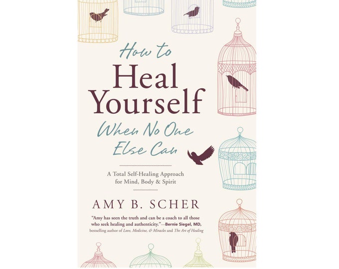 How to Heal Yourself When No One Else Can: A Total Self-Healing Approach for Mind, Body, and Spirit by Amy Scher, Paperback Book