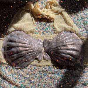 Silicone Shell Mermaid Bra Top Mauve Purple Pink Metallic