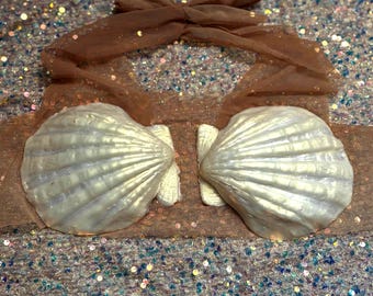 Silicone Shell Mermaid Top Bra White & Natural Gold shimmer