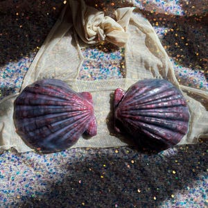 Silicone Shell Siren Mermaid Top Bra Glitter Red & Grey