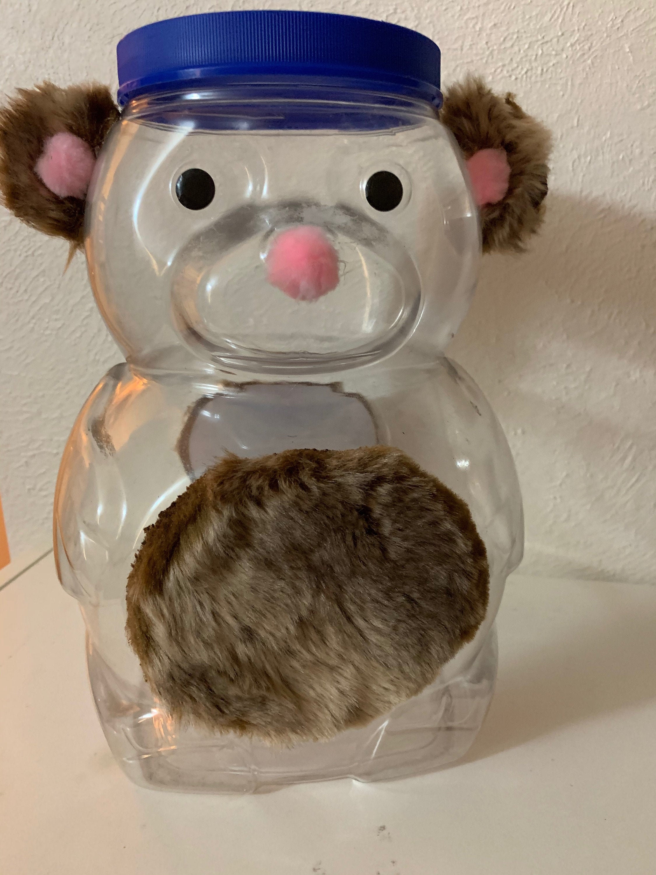 Teddy Bear storage containers pair of two cute plastic teddy Etsy