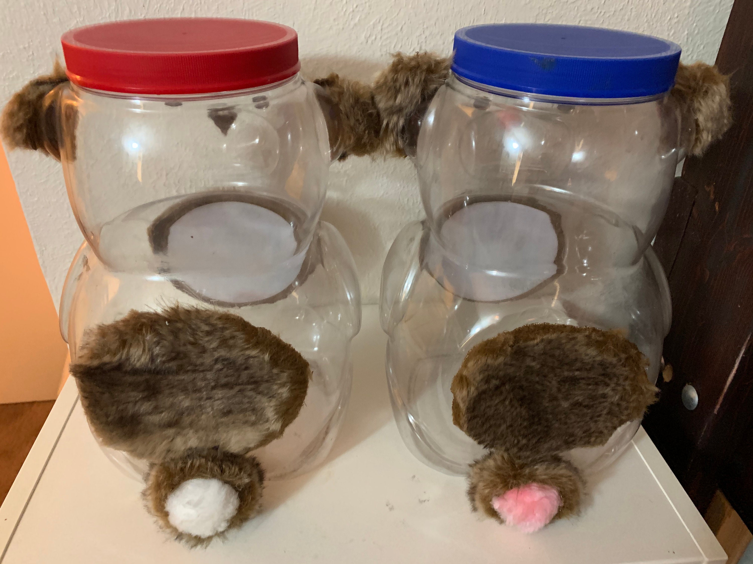 Teddy Bear storage containers pair of two cute plastic teddy Etsy