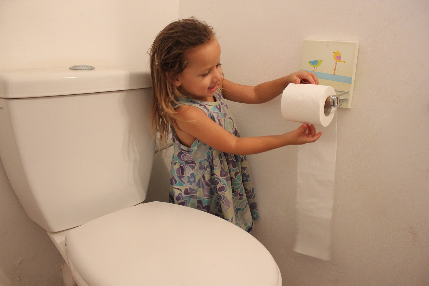 Toilet Paper Holder Bathroom Decor singing Birds Design Etsy Australia