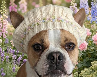 Handknitted Dog Beret Hat, Floral Trim, Ear Slits, French Bulldog Pug Apparel