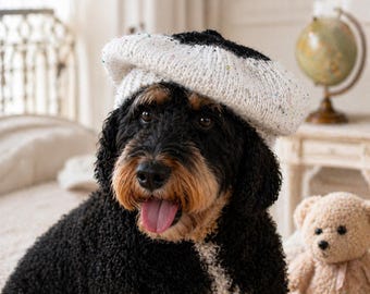 Hand-Knit Mohair Dog Beret with Ear Holes, Sequin Accent, Parisian Pet Accessory
