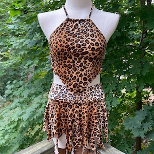 Velvet Cheetah Fairy Set