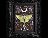 Artículos de esta tienda