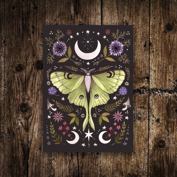 Mini impression A6 de papillon de nuit Luna - petite illustration florale botanique de papillon de nuit de la lune - carte postale de sorcière verte céleste - déco gothique cottagecore hérisson