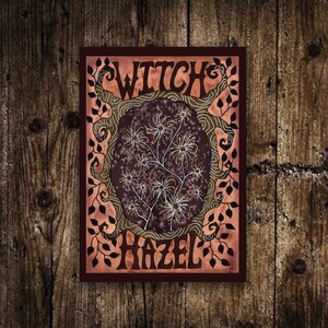 Mini impression hamamélis A6 - petite illustration botanique jardin des sorcières orange - impression d'Art carte postale guérison mystique - déco Hedgewitch