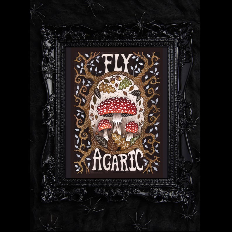 K&ouml;nnte beinhalten: Eine gerahmte Illustration eines roten und wei&szlig;en Pilzes mit dem Text "FLY AGARIC" in einer stilisierten Schriftart. Der Pilz ist von Bl&auml;ttern und &Auml;sten umgeben.