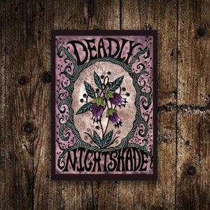 Stampa Mini A6 Deadly Nightshade - Piccola illustrazione viola e verde del giardino delle streghe - Stampa artistica di cartoline di streghe gotiche - Decorazione velenosa spettrale