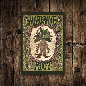 Mini impression A6 racine de mandragore - Illustration botanique du jardin des petites sorcières vertes - Impression d'Art carte postale magie mystique - Décoration hérisson verte