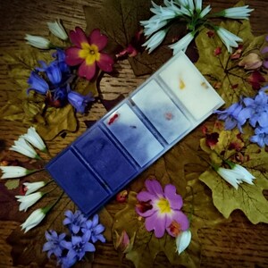 Puede incluir: Un juego de cera para fundir con cinco cuadrados individuales. Los cuadrados están dispuestos en una fila. El primer cuadrado es blanco con algunas pequeñas flores rojas y amarillas. Los siguientes cuatro cuadrados son un degradado de azul, comenzando con un azul claro y desvaneciéndose a un azul oscuro. Las ceras para fundir están rodeadas de flores y hojas.