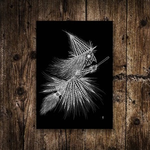 Mini stampa di strega del raccolto - Piccola illustrazione di strega di vimini A6 - Mini stampa di cartolina di stregoneria in bianco e nero - Spooky Pagan Corn Dolly Art