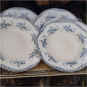 1800's French Stoneware Plates by Longwy Muguet Pattern #sophieladydeparis