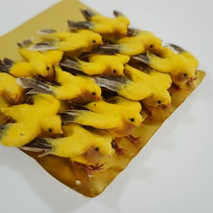 Künstliche Vögel, gefilzte und gefiederte Vögel, 12 kleine Vögel, gelbe Vögel, braune Federn, kleine Kunstvögel, 1970er Jahre, Lot 270, Versandkostenfrei