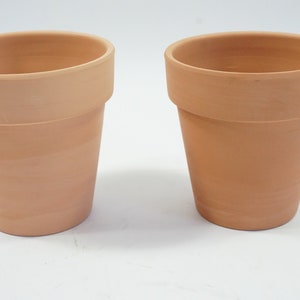 Terracotta Flower Pots, Clay Pots, 2 Small Flower Pots, Clay Seed Pots, Succulent Pots, Greenhouse Supplies, Lot 157 Free USA Ship