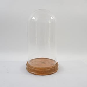 Puede incluir: Una cúpula de cristal transparente con la parte superior redondeada, colocada sobre una base circular de madera. La base presenta un acabado de veta de madera marrón claro natural con un diseño de borde escalonado para la cubierta.