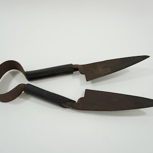 Sheep Shear Trimmer, Shears, Hand Forged Shears, USA Made, Greenhouse Shears, Short Handled Grass Shears, Lot 183 Free USA Ship