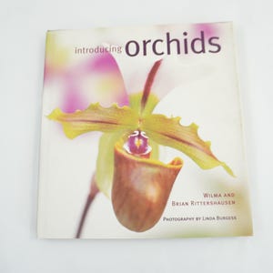 Puede incluir: Un libro titulado "introducing orchids" con una gran imagen de flor de orquídea en la portada. La flor tiene tonos amarillos, rosas y marrones. Los autores del libro son Wilma y Brian Rittershausen, con fotografía de Linda Burgess.