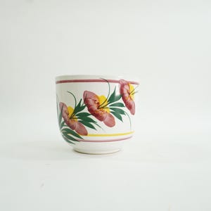 May include: A white ceramic planter with a floral design. The planter features pink flowers with yellow centers and green leaves. The planter has a yellow and pink stripe around the top.
