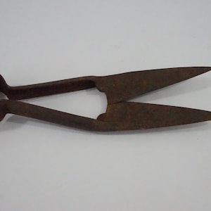 Sheep Shear Trimmer, Rusted Grass Shears, Steel Carbon English Clipping Shears, Greenhouse Shears, Short Handled Grass Shears, Free Ship