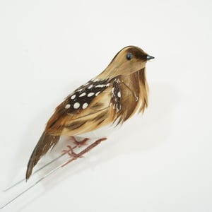 Künstlicher Vogel, gefiederter Vogel, fetter Vogel, Rebhuhn-Vogel mit Drahtfüßen, Herbst-Kranz-Blumenzubehör, Käfigvogel 3 1/2 "H Free USA Ship