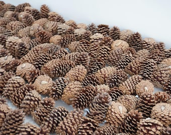 Pinecone Garland, Loblolly Pinecone Garland 38 Linear Feet Lush Tight Pinecone Garland, 1 Strand, Handmade Garland, Lot 103, Free USA Ship